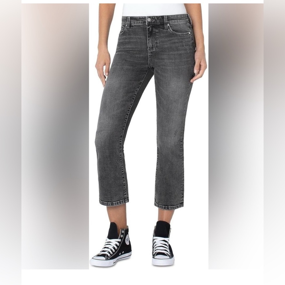 #310 NWT BLANK NY The Baxter Ribcage Jean Size 25